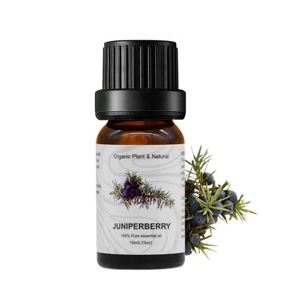 Menthol Essential Oil Essential Oils for Sleep Diffuser Aesop Diffuser