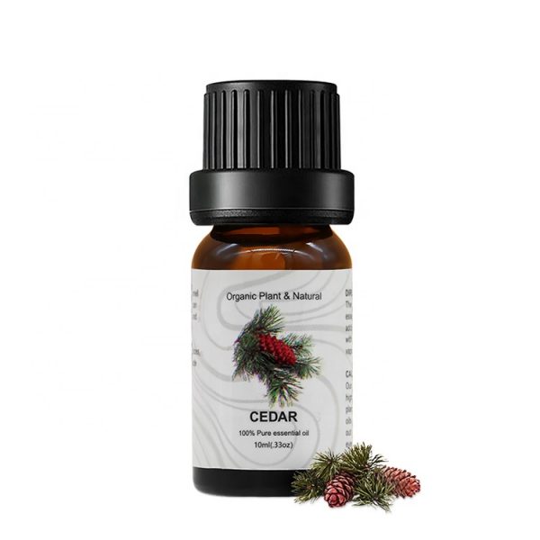 Rose Otto Essential Oil Envision Young Living Doterra Rosemary