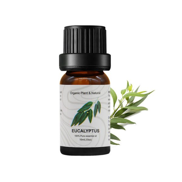 Cedarwood Oil for Hair Oregano Oil for Hair Niaouli Oil