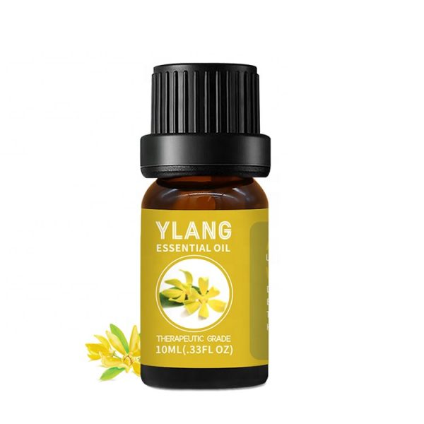Most Popular Essential Oils Essential Oils for Female Lubrication