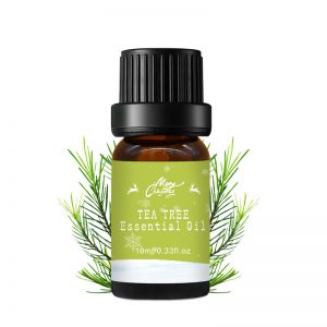 Black Spruce Essential Oil Citronella Young Living Doterra Humidifier