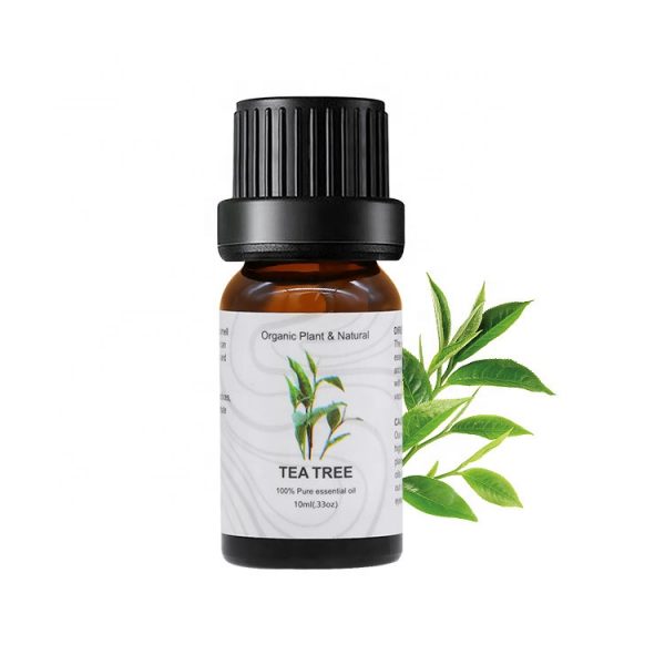 Black Spruce Essential Oil Citronella Young Living Doterra Humidifier
