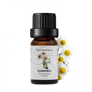 Hinoki Essential Oil Galbanum Essential Oil Cassia Doterra