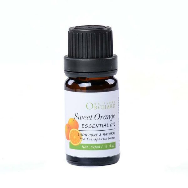 Lavender Oil for Migraine Winter Diffuser Blends Eden Essential Oils