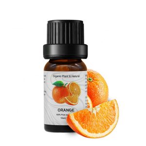 Hyssop Essential Oil Litsea Essential Oil Doterra Pilot Diffuser