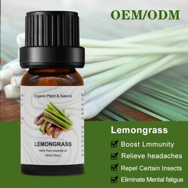 Chocolate Essential Oil Organic Rosemary Oil Best Oil for Wrinkles