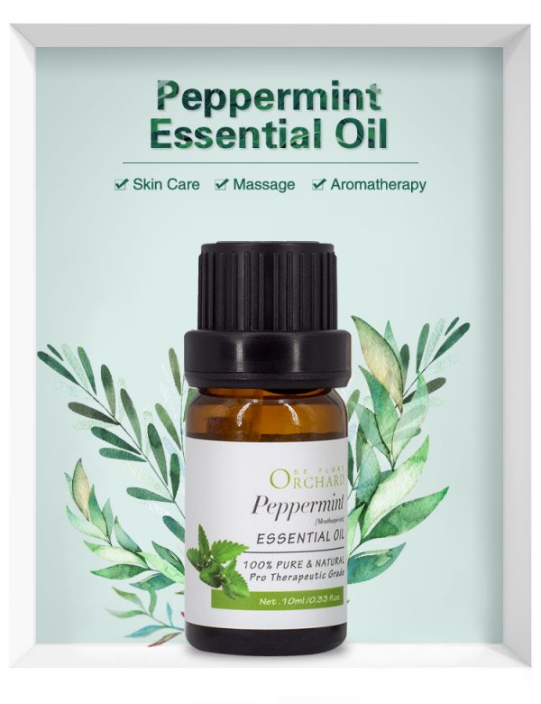 Therapeutic Essential Oils CVS Essential Oils Doterra Oregano Oil