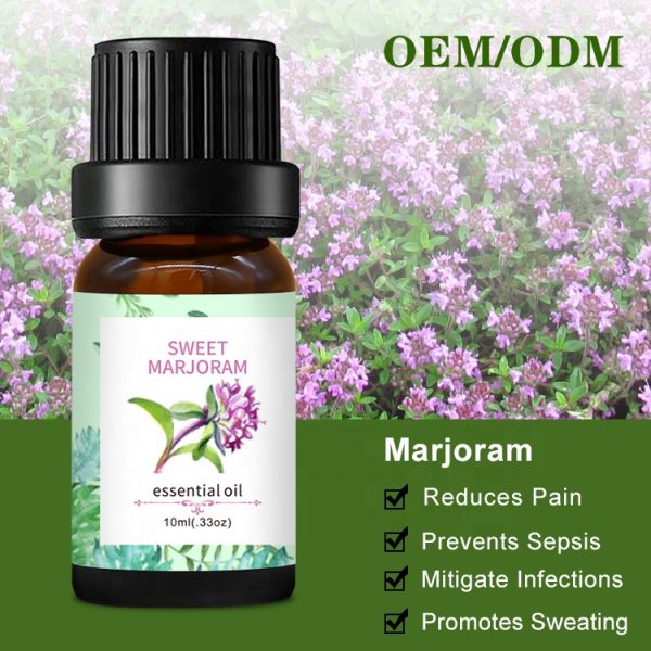 Pennyroyal Oil Air Wick Oil Diffuser Frangipani Essential Oil