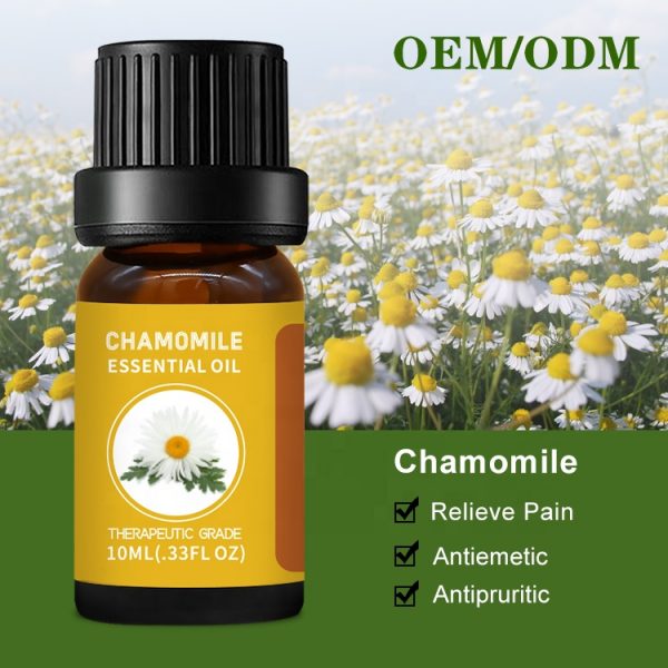 Santal Essential Oil Lavandula Hybrida Oil Wormwood Oil