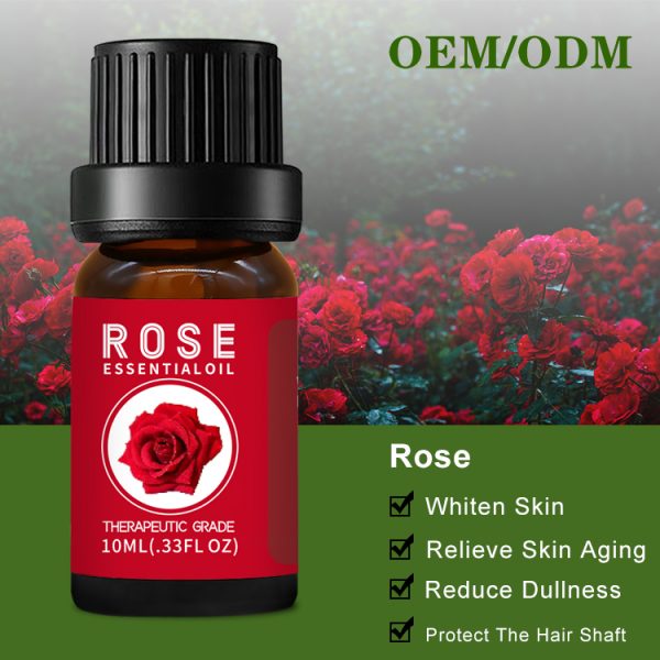 Lotus Essential Oil Best Eucalyptus Oil Palo Santo Young Living