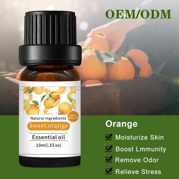 Santal Essential Oil Lavandula Hybrida Oil Wormwood Oil