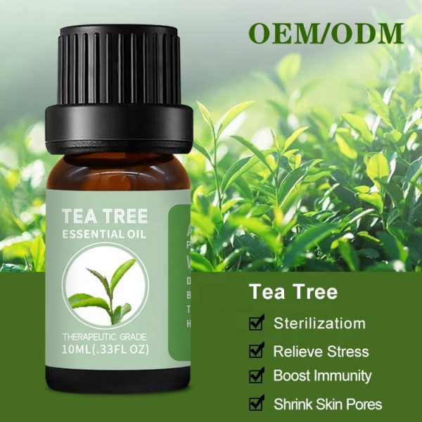 Pomegranate Essential Oil Pelargonium Graveolens Oil
