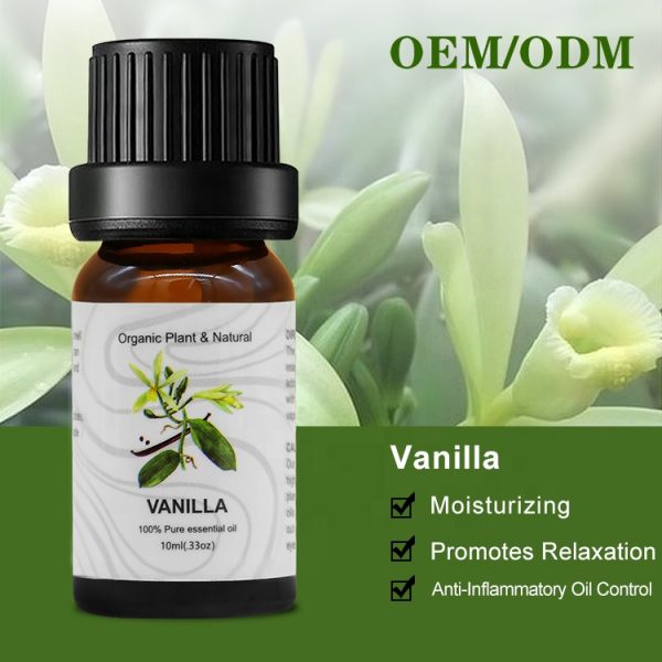 Garlic Essential Oil Rosemary Oil for Hair Regrowth Doterra Cypress
