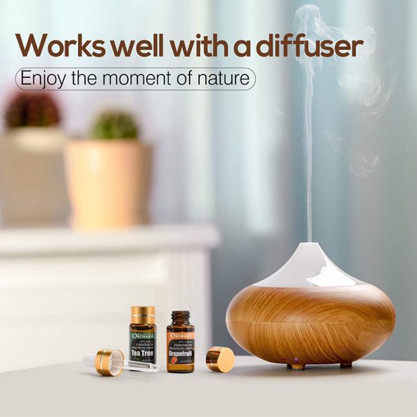 Popular Essential Oils Best Carrier Oil for Reed Diffuser
