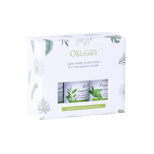 Popular Essential Oils Best Carrier Oil for Reed Diffuser