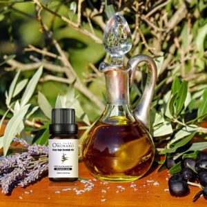 Verbena Essential Oil Coconut Oil and Tea Tree Oil Clove Leaf Oil