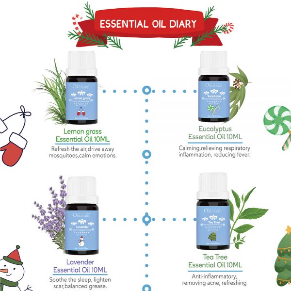 Aloe Vera Essential Oil Peppermint Oil for Face Doterra Touch