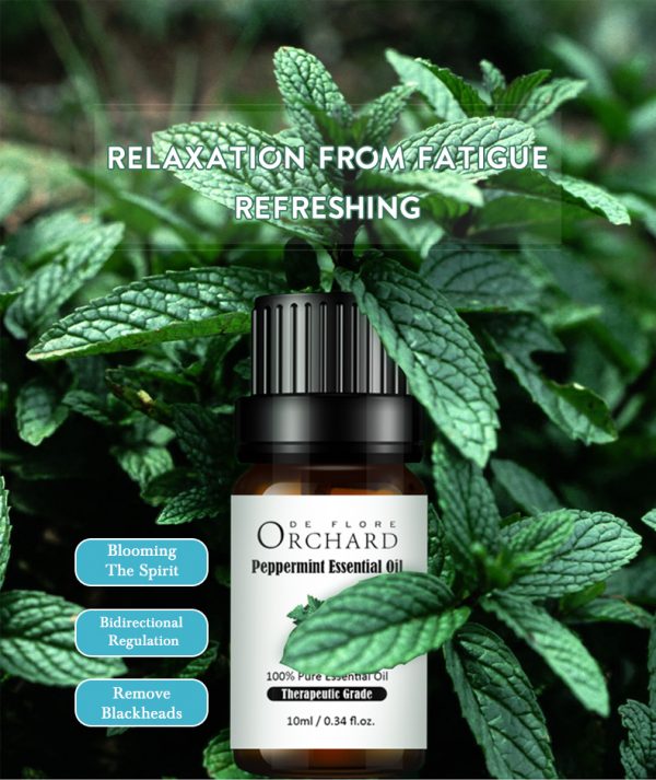 Essential Oils for Lice Eucalyptus Oil Amazon Essential Oil Store
