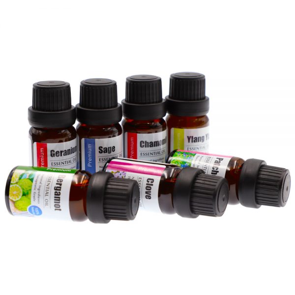 Essential Oils for Lice Eucalyptus Oil Amazon Essential Oil Store