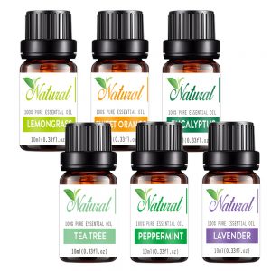 Essential Oils for Lice Eucalyptus Oil Amazon Essential Oil Store