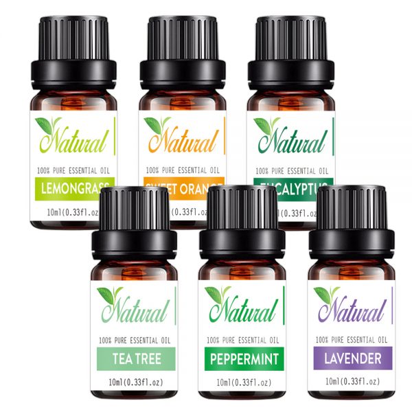 Essential Oils for Lice Eucalyptus Oil Amazon Essential Oil Store