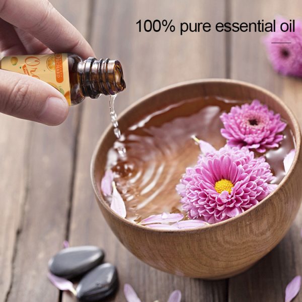 Protective Blend Doterra Wholesale Essential Oils for Resale
