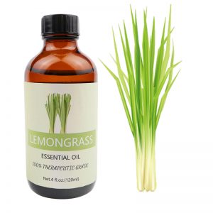 Rosemary Oil Wholesale Lemongrass Essential Oil Wholesale