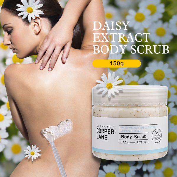 Ulta Sugar Scrub Body Scrub Sample Size Body Shop Exfoliating Scrub