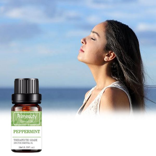 Turmeric Oil Wholesale Bulk Organic Essential Oils Wholesale