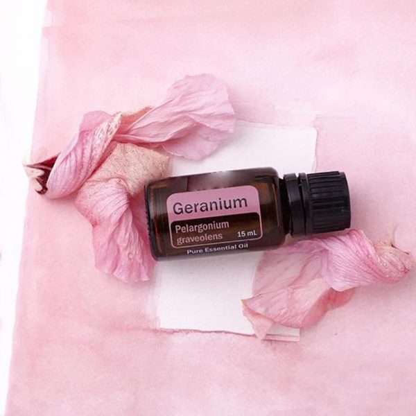 Camphor Oil Wholesale Frankincense Oil Bulk Motivate Doterra