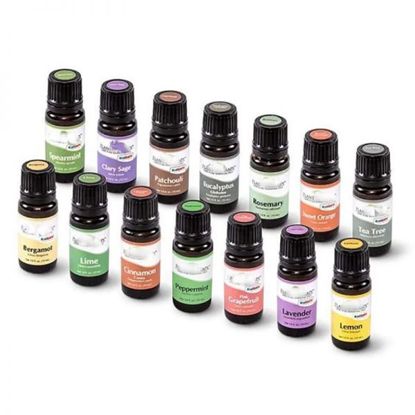 German Chamomile Young Living Opalhouse Diffuser