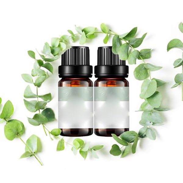 Best Essential Oils for Acne Ceramic Essential Oil Diffuser Oil Blends