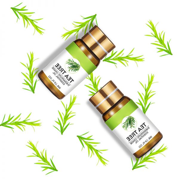 White Angelica Essential Oil Best Tea Tree Oil for Acne