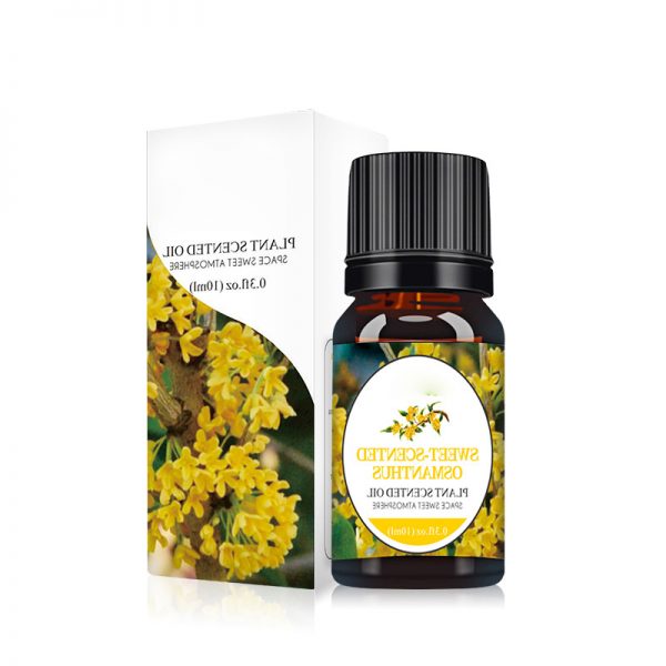 Balance Essential Oil Aroma Essential Oil Diffuser Davana Doterra