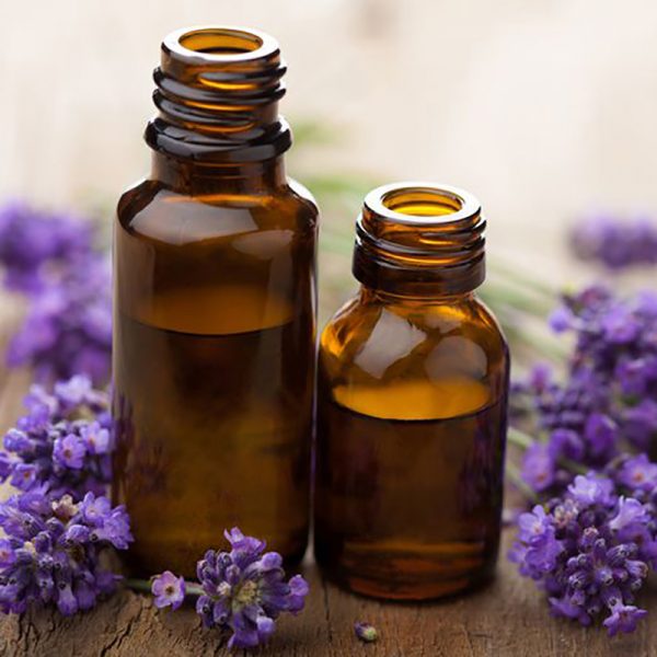 Musk Essential Oil Grounding Young Living Essential Oils Online
