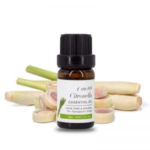Essential Oil for Stomach Pain Best Smelling Essential Oils for Skin