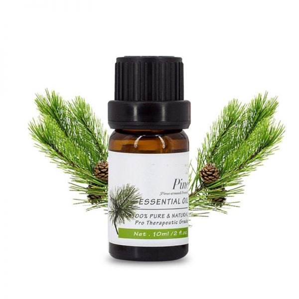 Arnica Essential Oil Pine Needle Essential Oil Spikenard Doterra