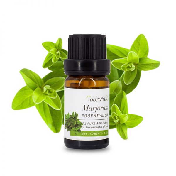 Cardamom Oil Fennel Doterra Best Aroma Diffuser Tulsi Oil