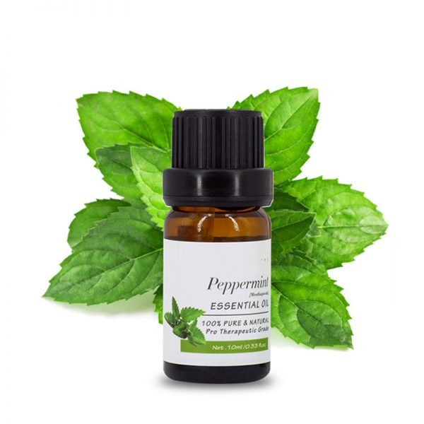Braneo Essential Oil Rose Absolute Essential Oil Leaf Oil Doterra Tamer