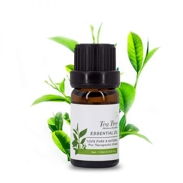 Pure Diffuser Gnc Essential Oils Doterra Toothpaste Steam Diffuser