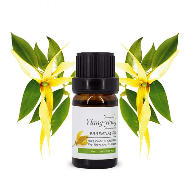 Strawberry Essential Oil Essential Oil Spray Best Aromatherapy Oils