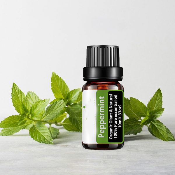 Sweet Essential Oils Best Essential Oils for Skin Ageing Bay Leaf Oil