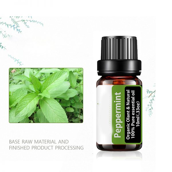 Essential Oils for Back Pain Essential Mist Mahli Diffuser