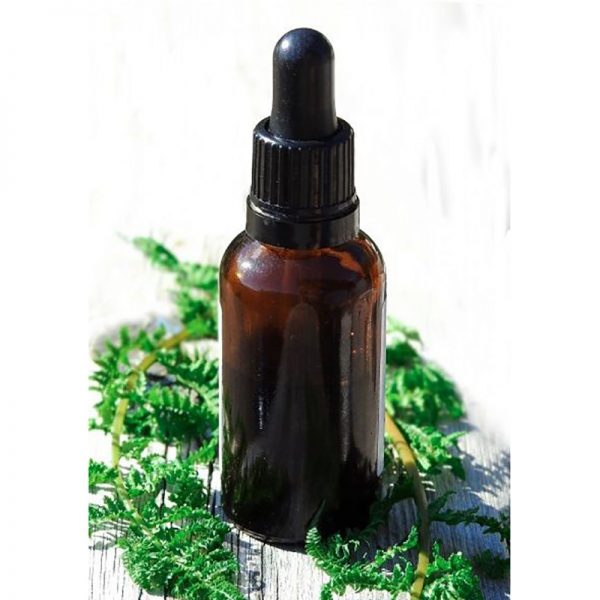 Garlic Essential Oil Rosemary Oil for Hair Regrowth Doterra Cypress