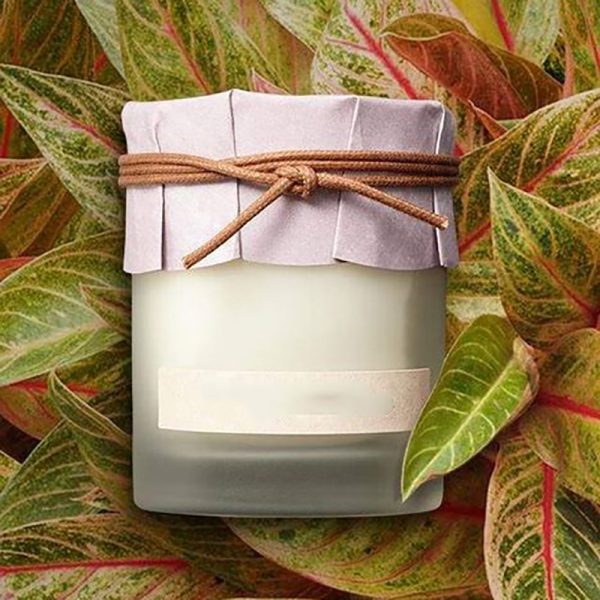 Candle Oil Scents Wholesale Scented Candles Vanilla Custom Logo