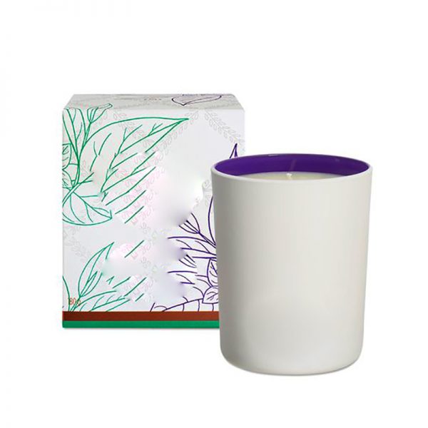 Scented Soy Fragrance Scented Candles Thailand Manufacturers