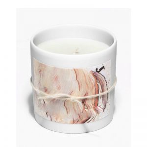 Wholesale Bulk Scented Candles Scented Tea Light Candles In Box