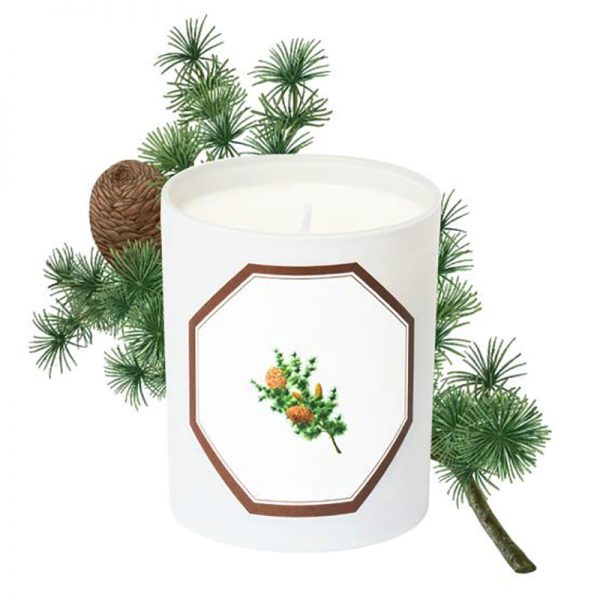 Cheap Wax Burners Bulk Wholesale Scented Candle With Matching Box