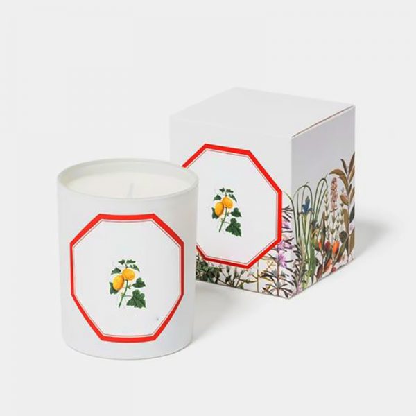 Scent Soy Wax Candle Glass Dome Bamboo Scented Candle