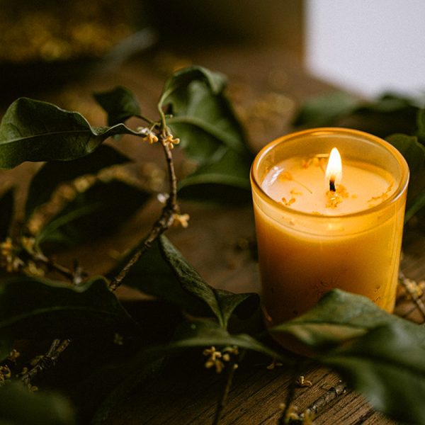 Skandinavisk Mini Candle Set Willow Scented Candles